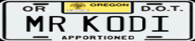 Truck License Plate
